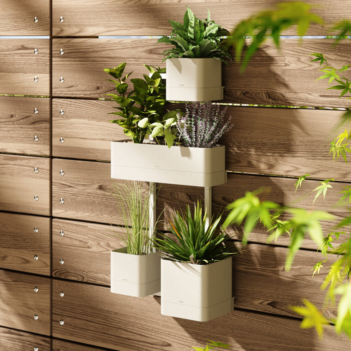 Cubiko Wall Planter